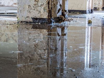 About Water Extraction Services - water damage restoration experts in Dauphin Island, AL