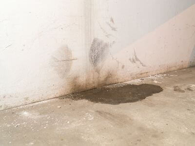 Professional water damage restoration services in Dauphin Island, AL - Water Extraction Services